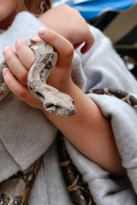 renfairespring2011_42